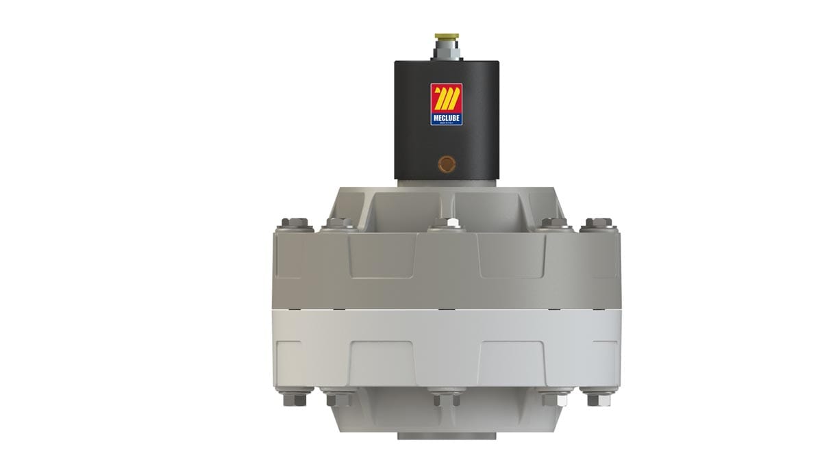 COMPENSATORI PNEUMATICI PER FLUIDI Mod. DAMP 35
